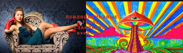 бошки Снежногорск