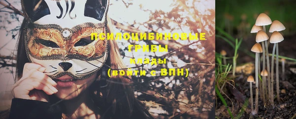 ECSTASY Снежинск